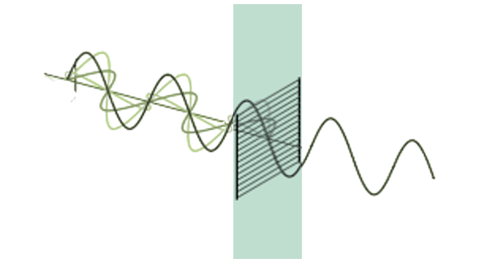 Polarimeter